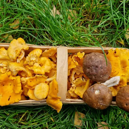 Na Kaszubach Сasa de vacaciones *