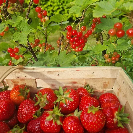 Na Kaszubach Сasa de vacaciones