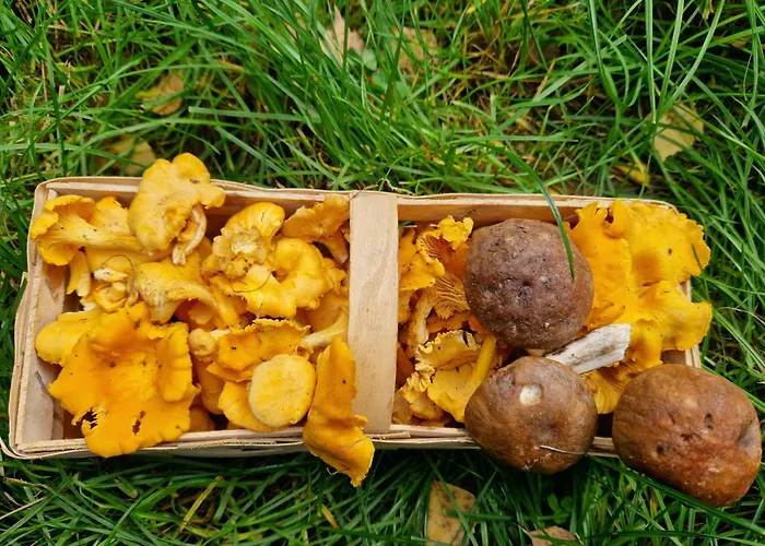 Na Kaszubach Dom wakacyjny *