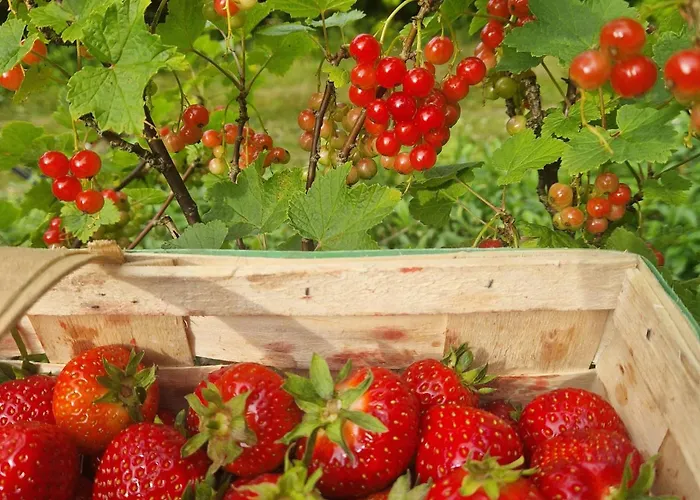 Na Kaszubach Dom wakacyjny